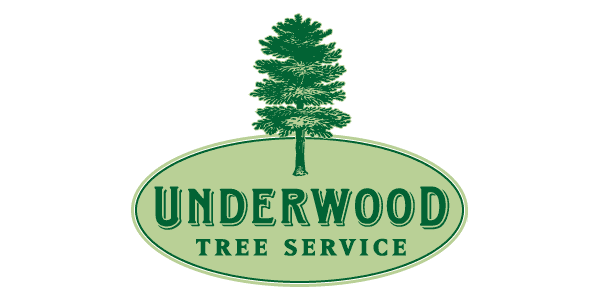 logo design raleigh underwood tree service